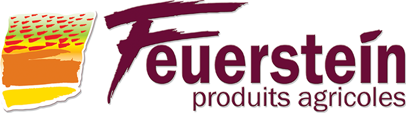Feuerstein