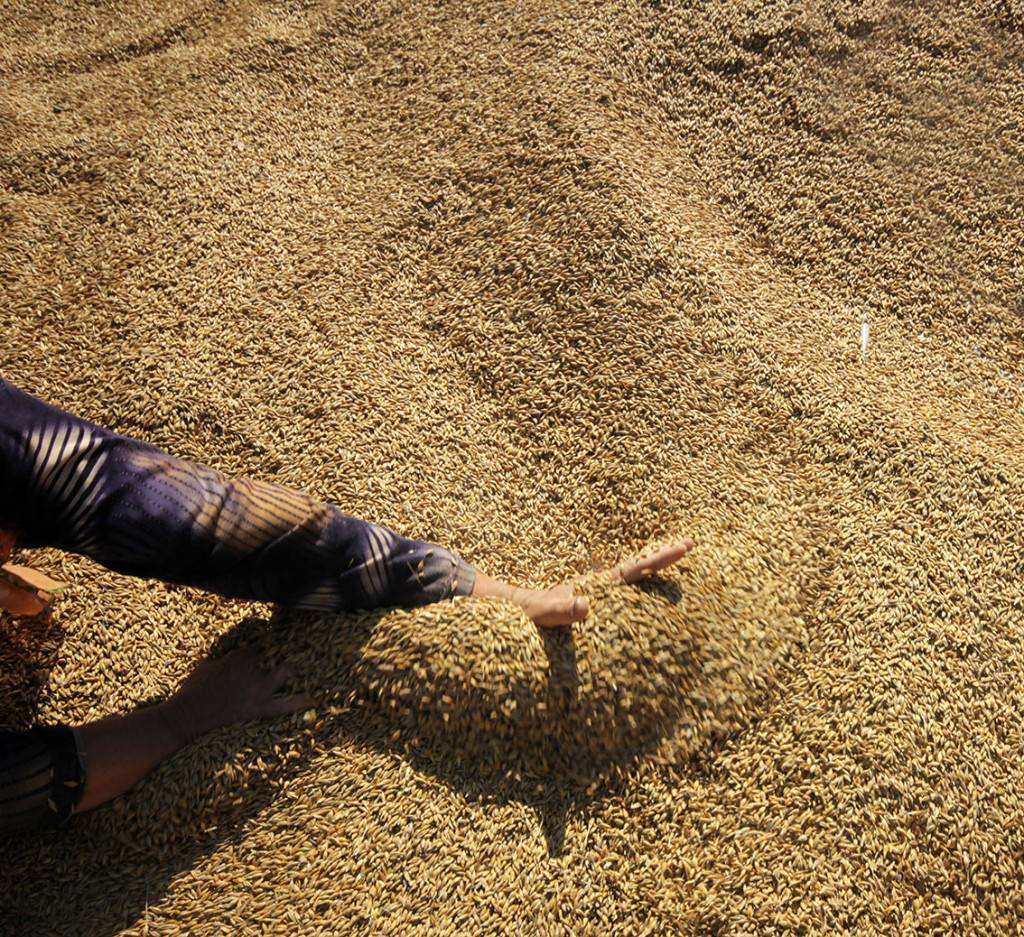 Nutrition animale Saint-Louis 2