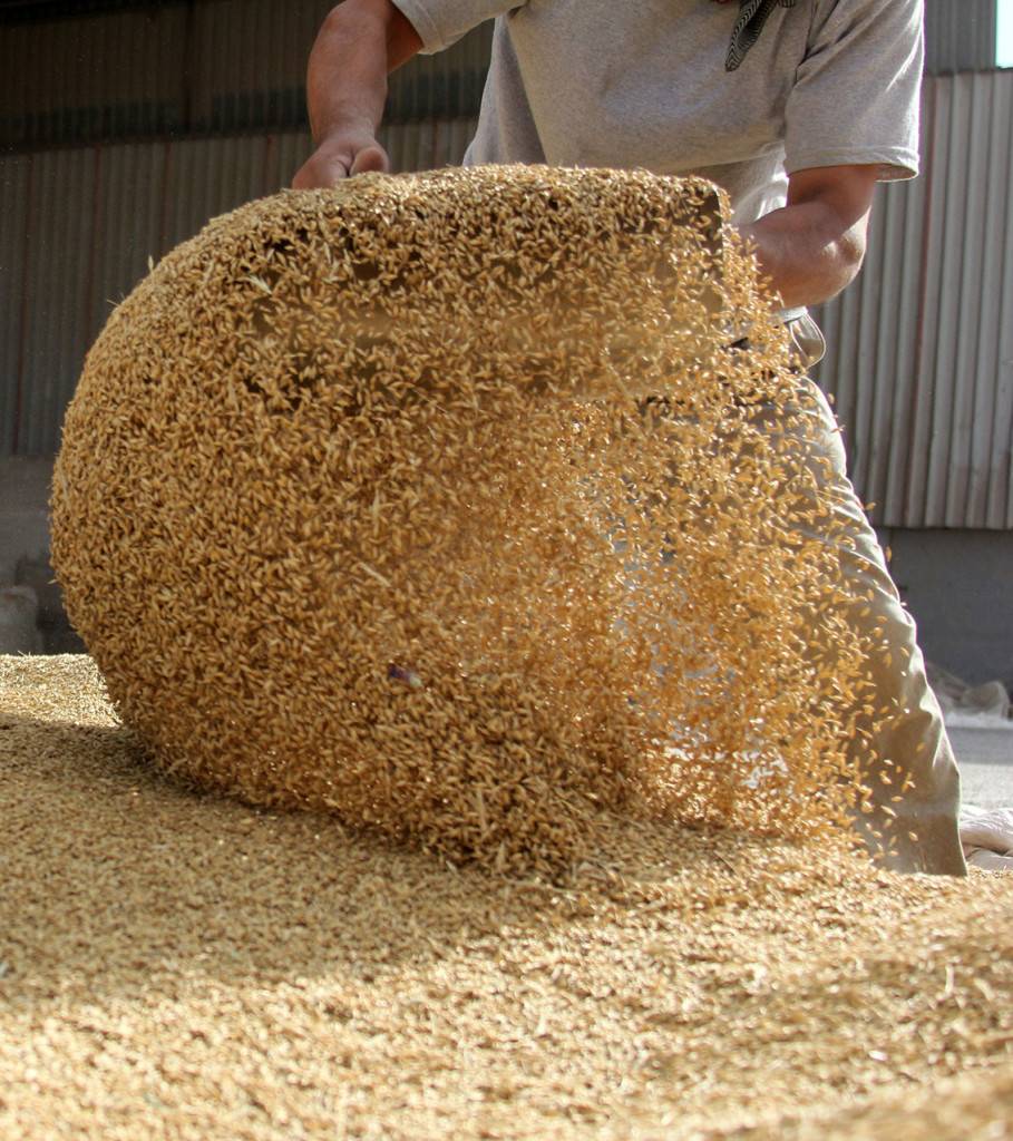 Nutrition animale Riedisheim 3